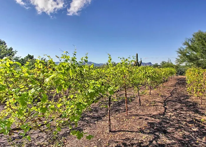 Luxe Vineyard W/ Views & Fire Pit